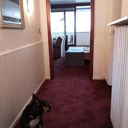 Apartment Direkt Am Steinhuder *