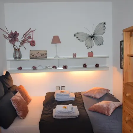 Direkt Am Steinhuder Apartment *