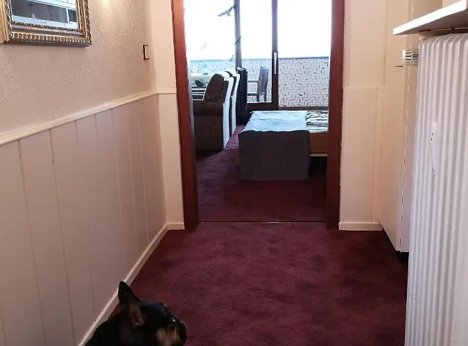 Daire Direkt Am Steinhuder *